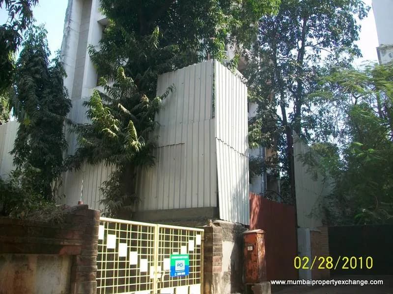X czar photo 2