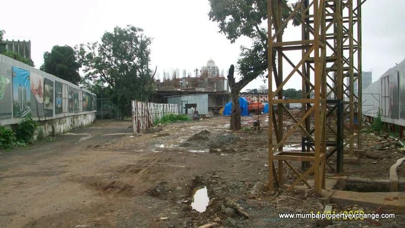 Wallace Fortuna photo 4