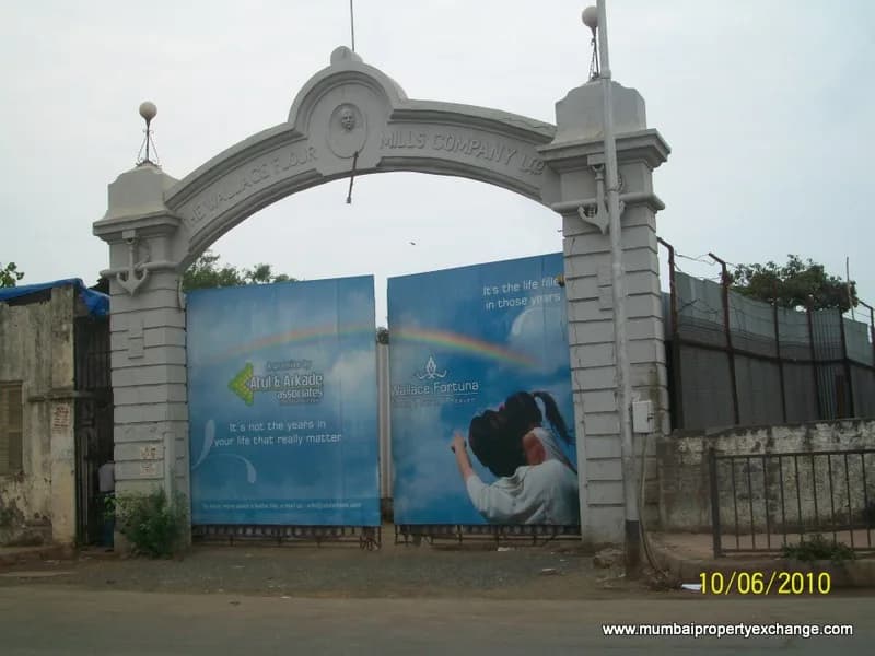 Wallace Fortuna photo 3