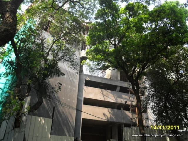 The One photo 4
