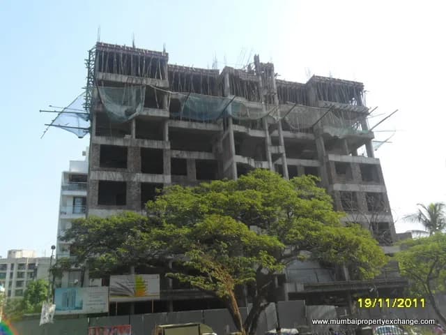 Kumar Tangrine photo 3
