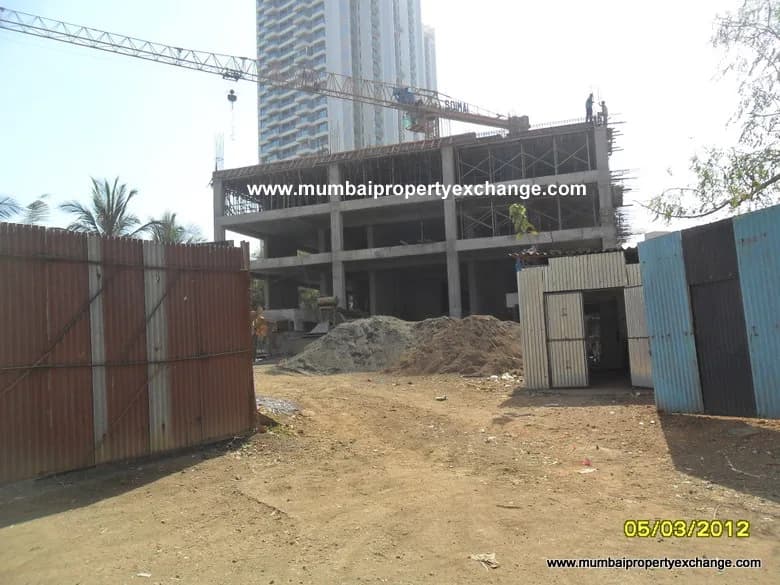 Royal Accord photo 6