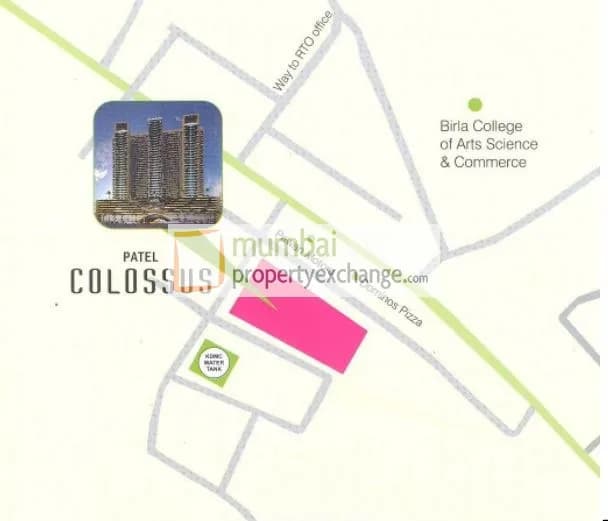 Patel Colossus photo 3