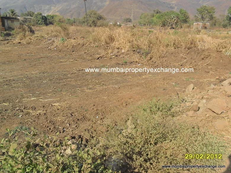 Green Earth photo 2