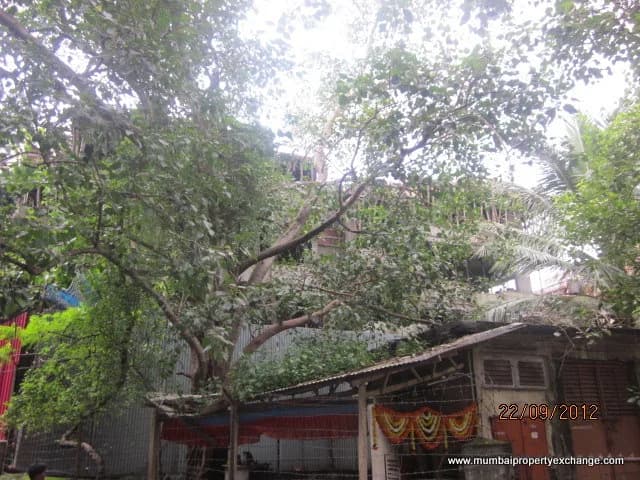 Bharat Apartment photo 4