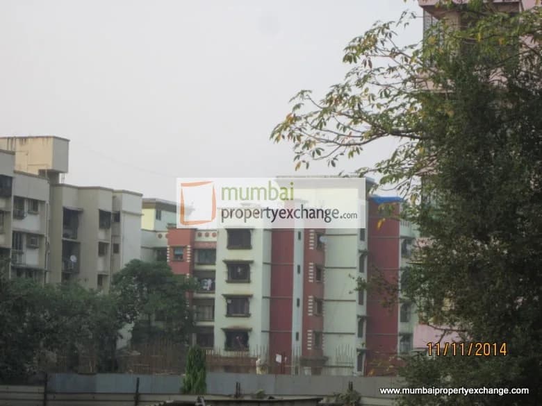 Sheth Midori photo 5