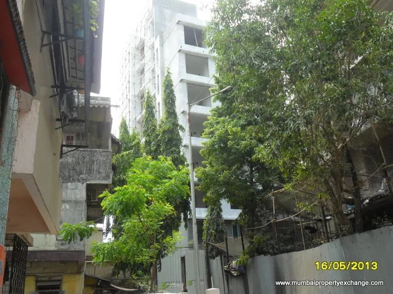 Centrina photo 5