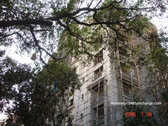 Ekta Exotique photo 2