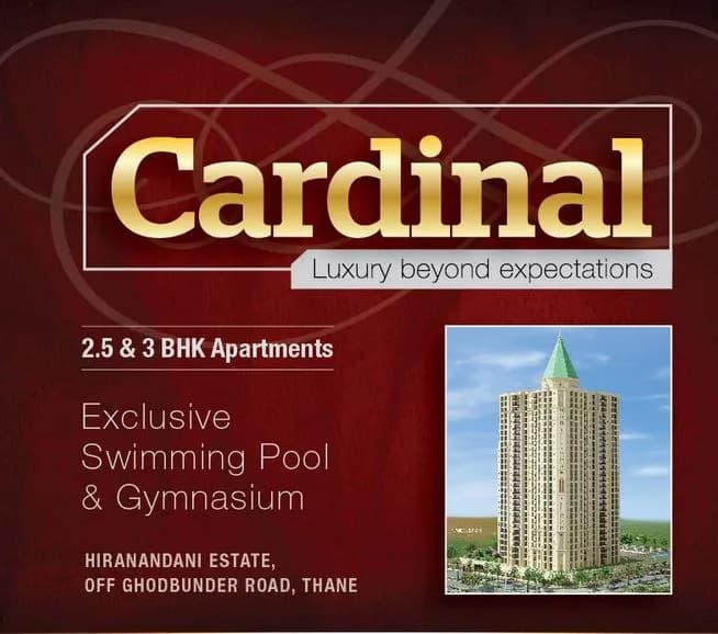 Cardinal photo 3