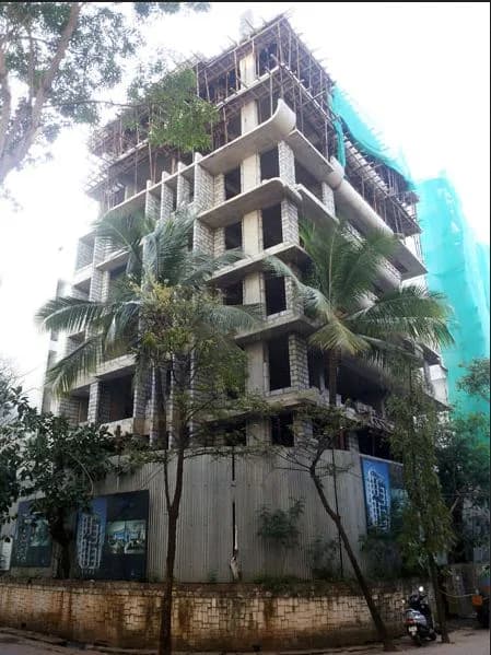 Tropical Breeze photo 4