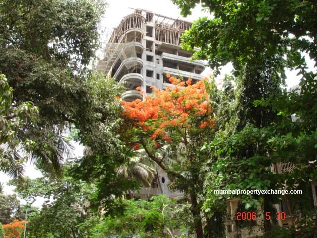 RNA Auroville photo 5