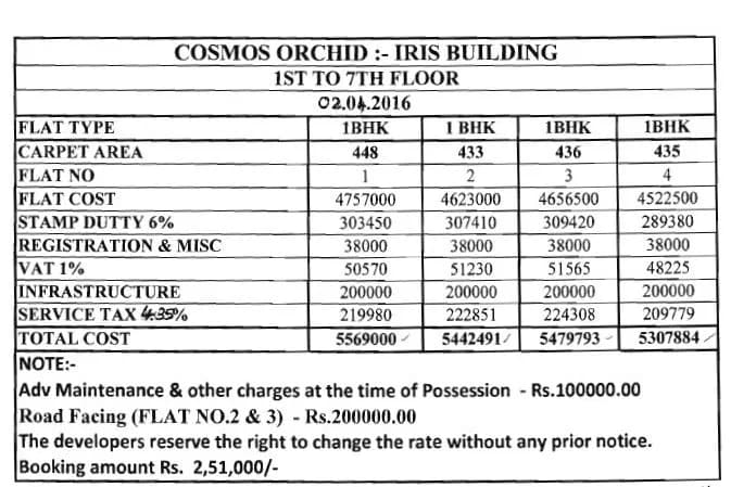 Cosmos Orchid Iris photo 6