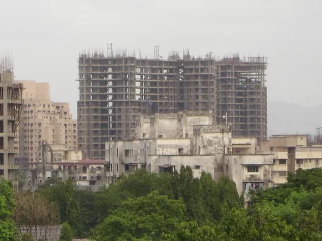 City Of Joy photo 3