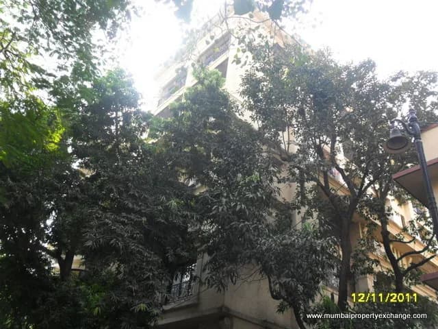 Trailokya photo 5