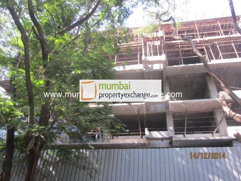 Natraj photo 5