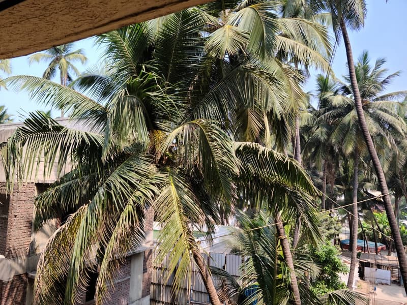 2 BHK Apartment for Rent in Oyster Shell I, Juhu - Photo 2