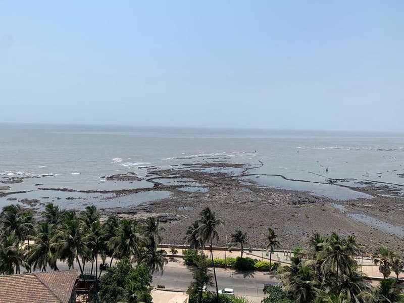Sea Bird in Bandra West - Photo 24