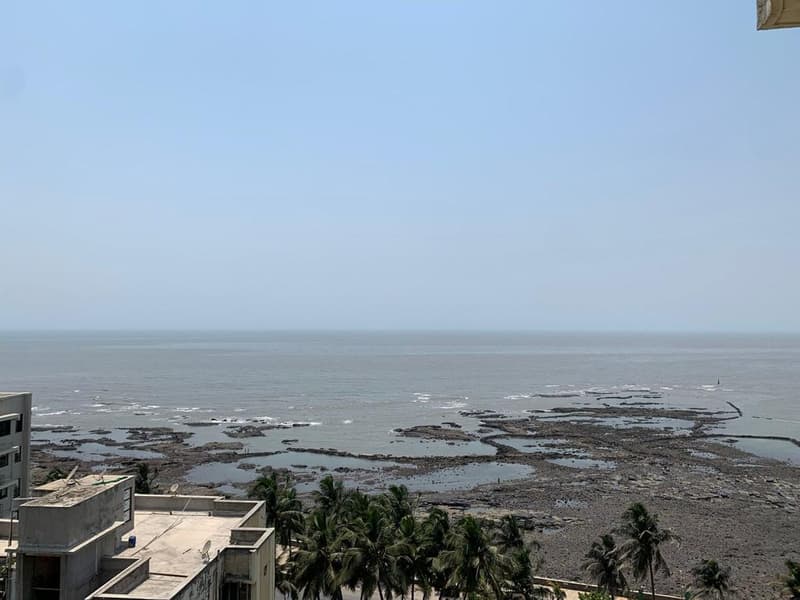 Sea Bird in Bandra West - Photo 41