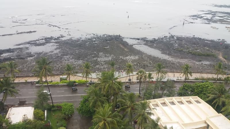 Sea Bird in Bandra West - Photo 17