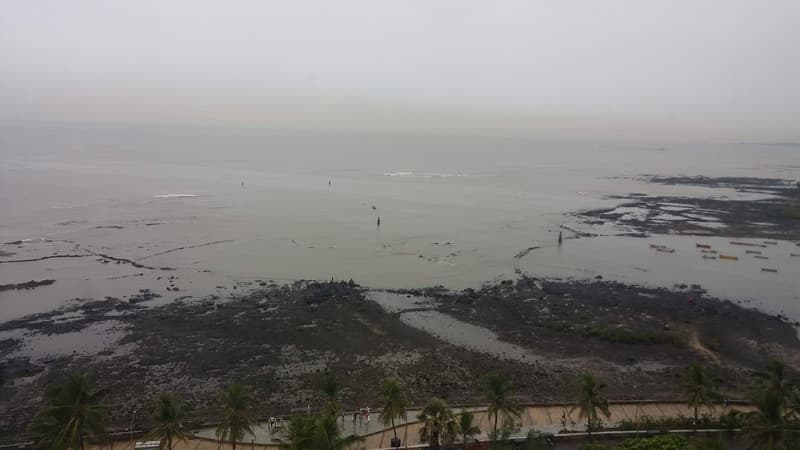 Sea Bird in Bandra West - Photo 18
