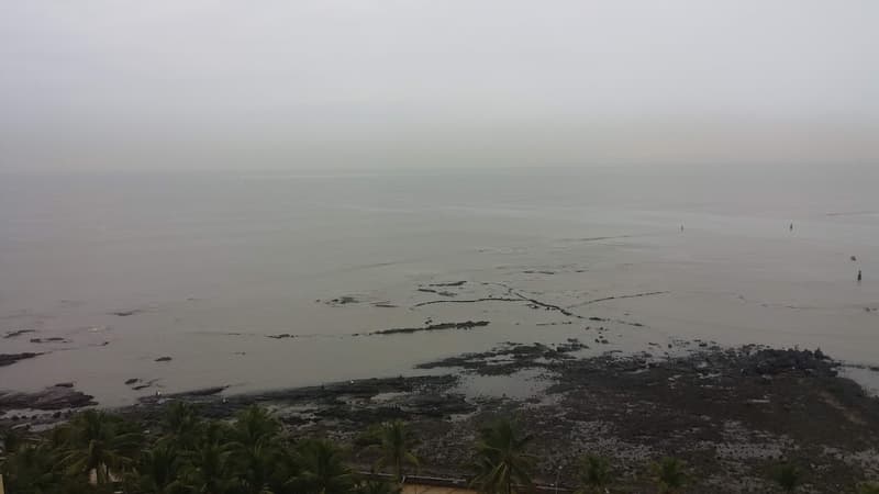 Sea Bird in Bandra West - Photo 20