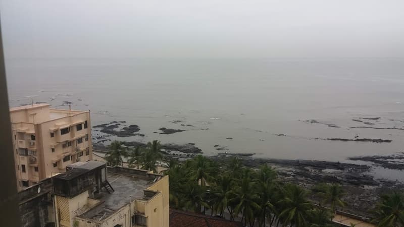 Sea Bird in Bandra West - Photo 21