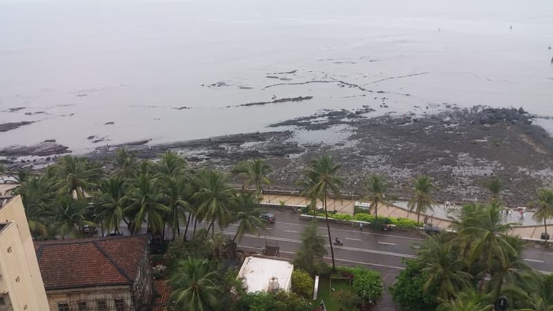 Sea Bird in Bandra West - Photo 22