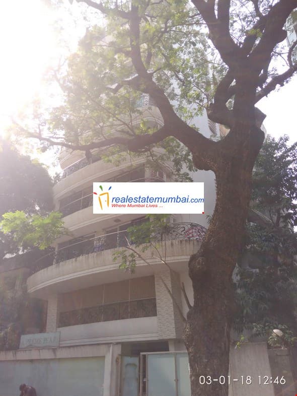 Supreme Pearl in Khar West - Photo 3