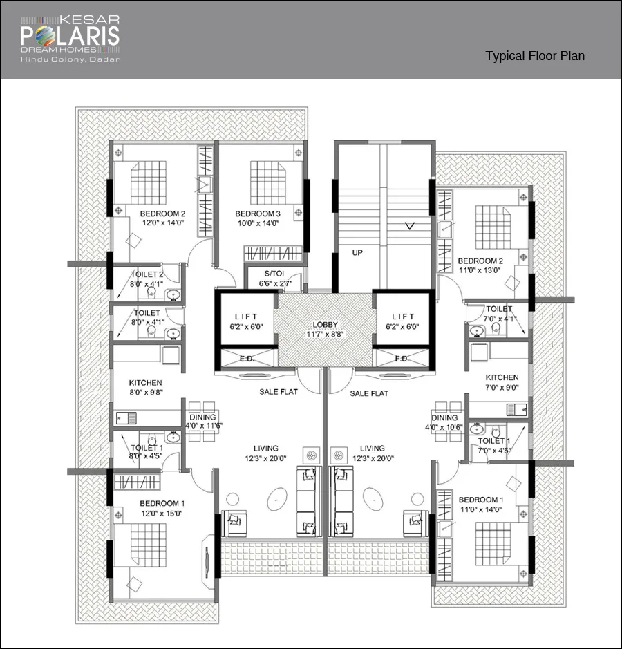 Kesar Polaris gallery
