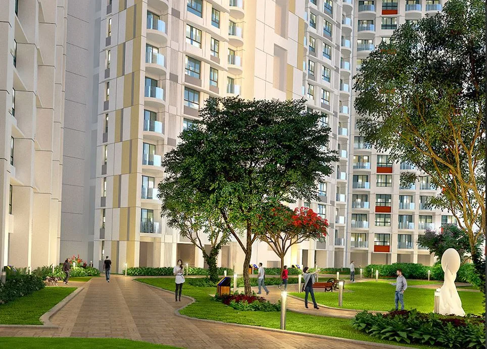 Aveza Phase 1
