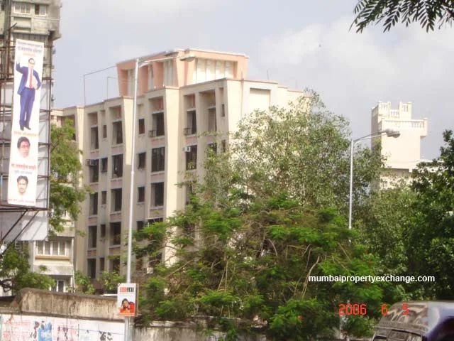 Sai Sharan gallery