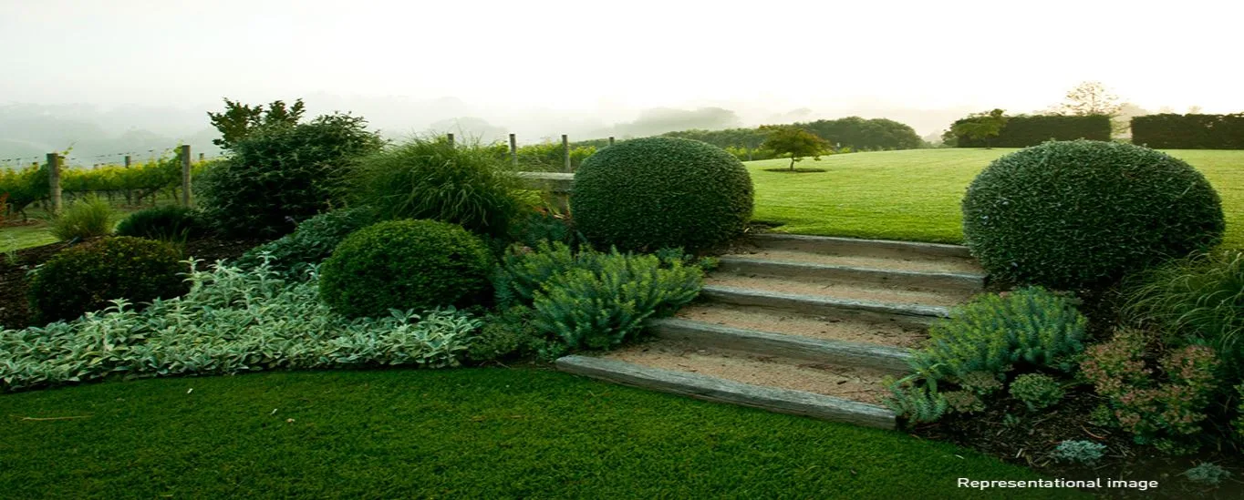 Lodha Kiara photo 4