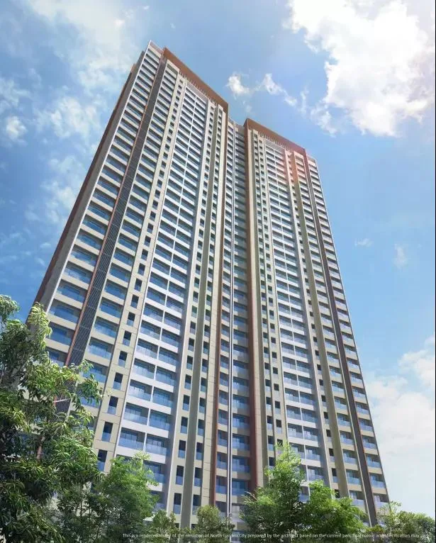 Jp North Euphoria