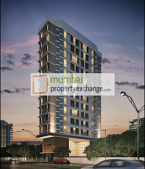 Viraj Bliss gallery