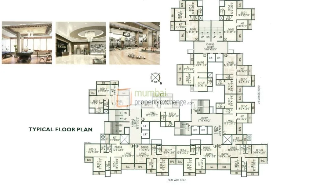 Platinum Escaso gallery