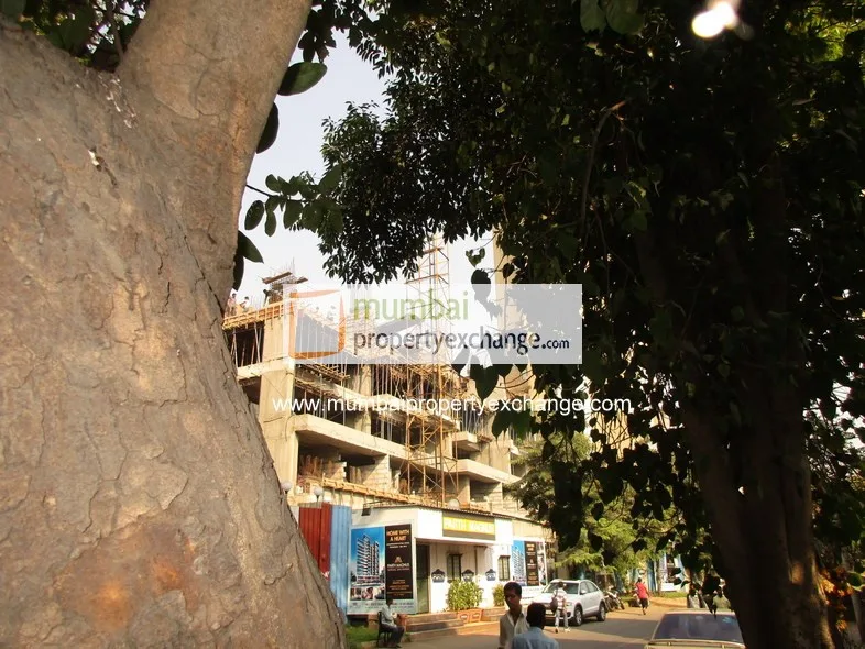 Parth Magnus gallery