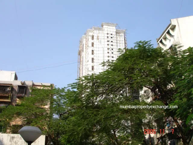 Triveni gallery