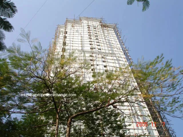 Triveni gallery