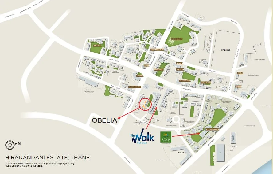 Obelia B