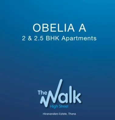 Obelia B