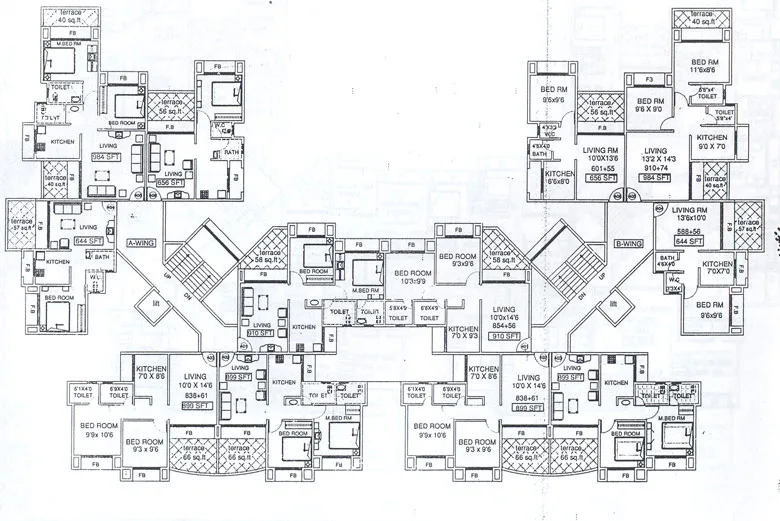Millenium Orchid gallery