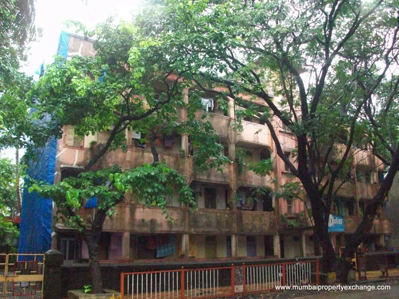 Purnima gallery
