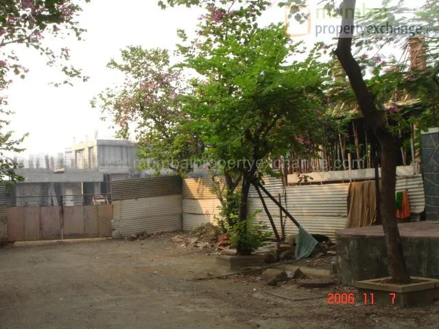 Ivy gallery