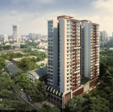 Chandak Stella photo 5