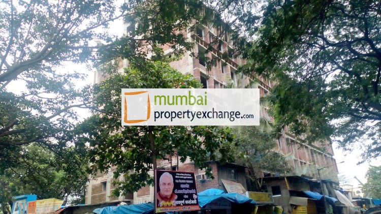 1 BHK Palmrose in Andheri East