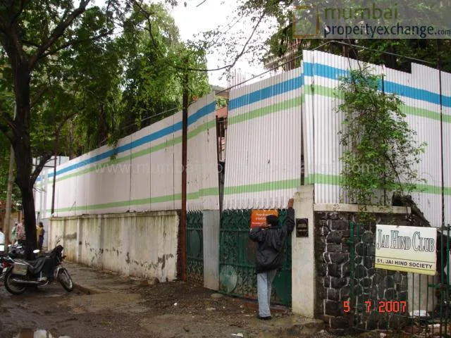 Jayshika gallery