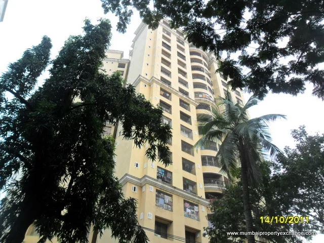 Regal B photo 4