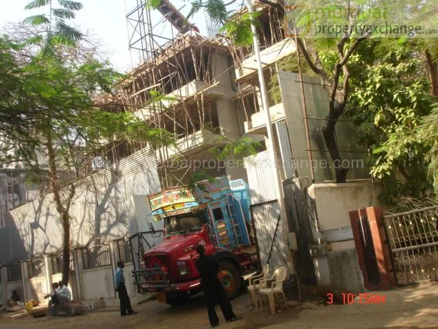 Chinar gallery