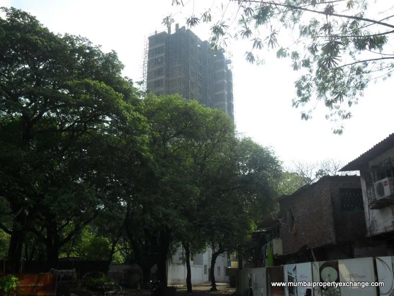 Sai Srishti photo 4
