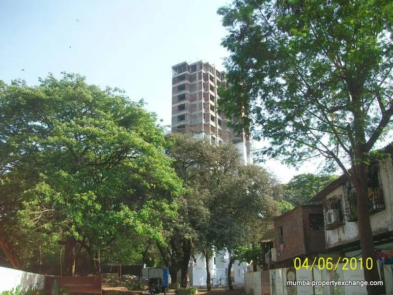 Sai Srishti gallery
